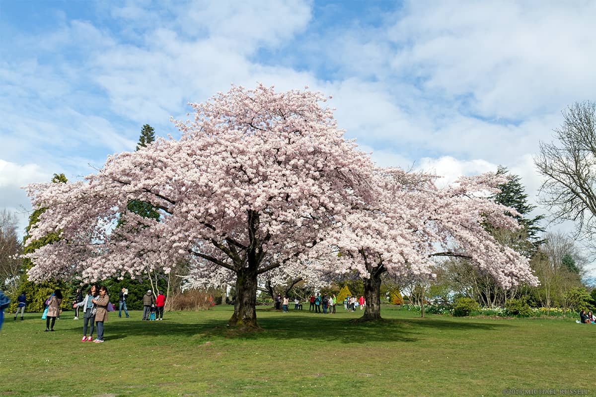 Vancouver Queen’s Park: Legends of Legacy