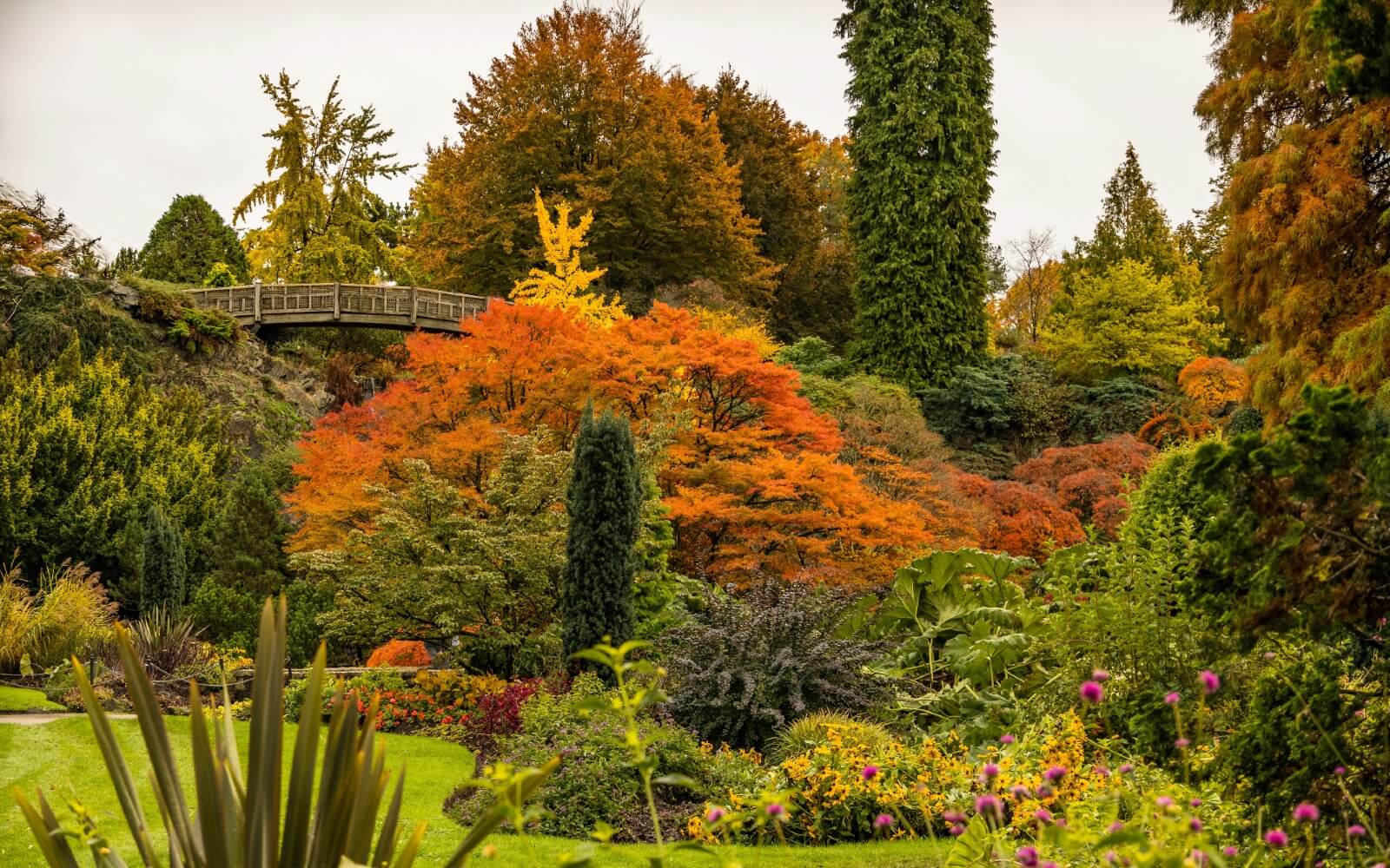 Vancouver Queen’s Park: Legends of Legacy