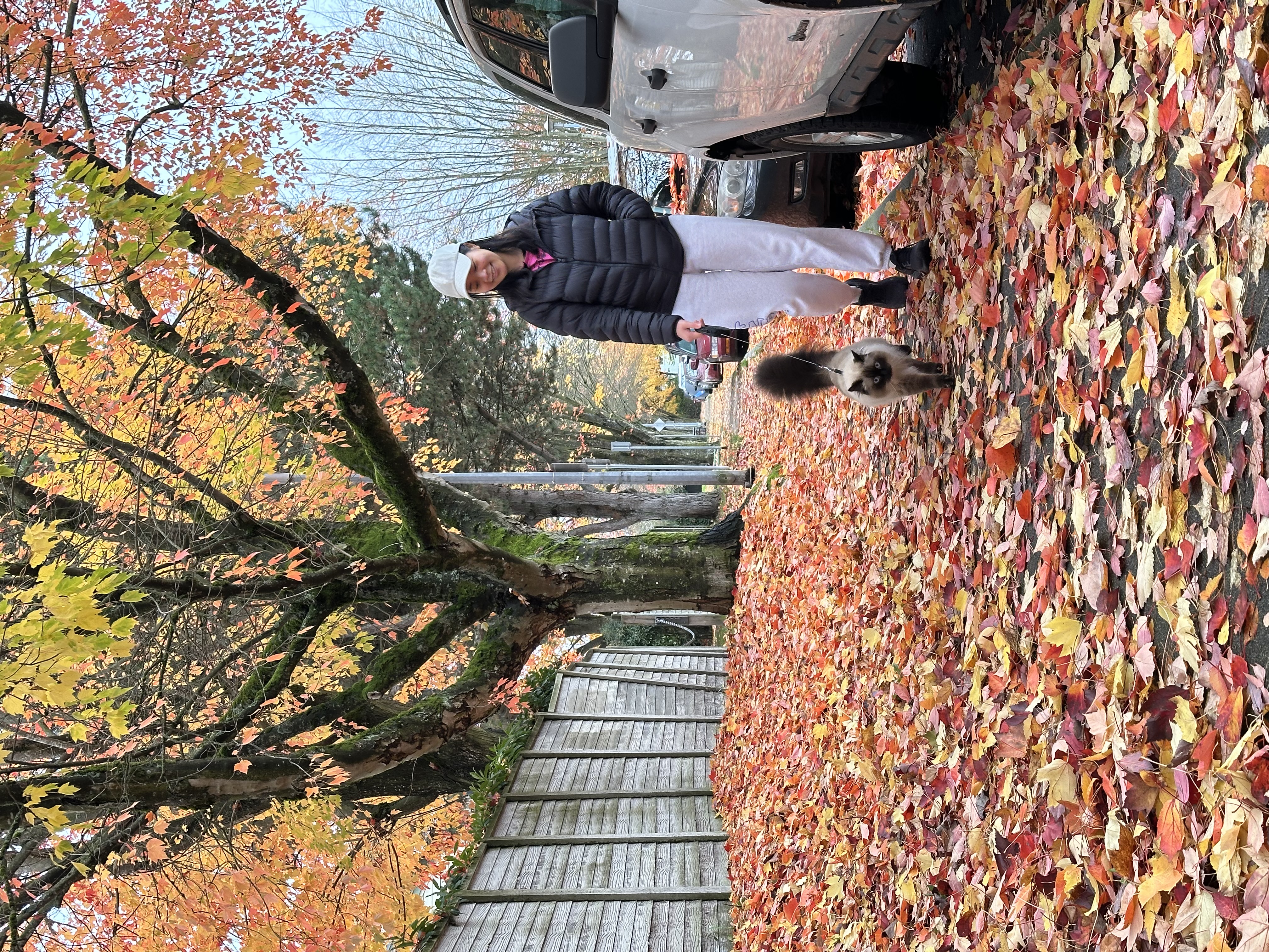 Secrets of Greenland: A Hidden Trails Adventure