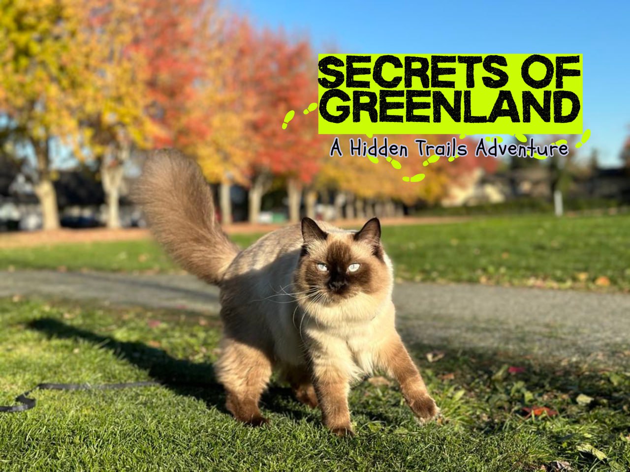 Secrets of Greenland: A Hidden Trails Adventure